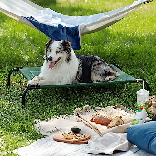 Large Elevated Dog Bed with Breathable Mesh Q529339