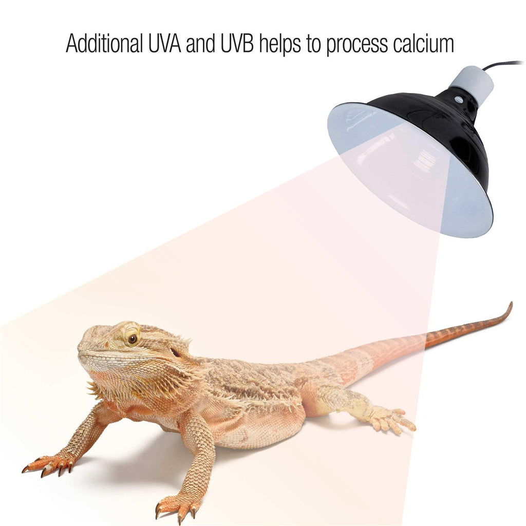 Calcium Supplement Food Spray Z2601