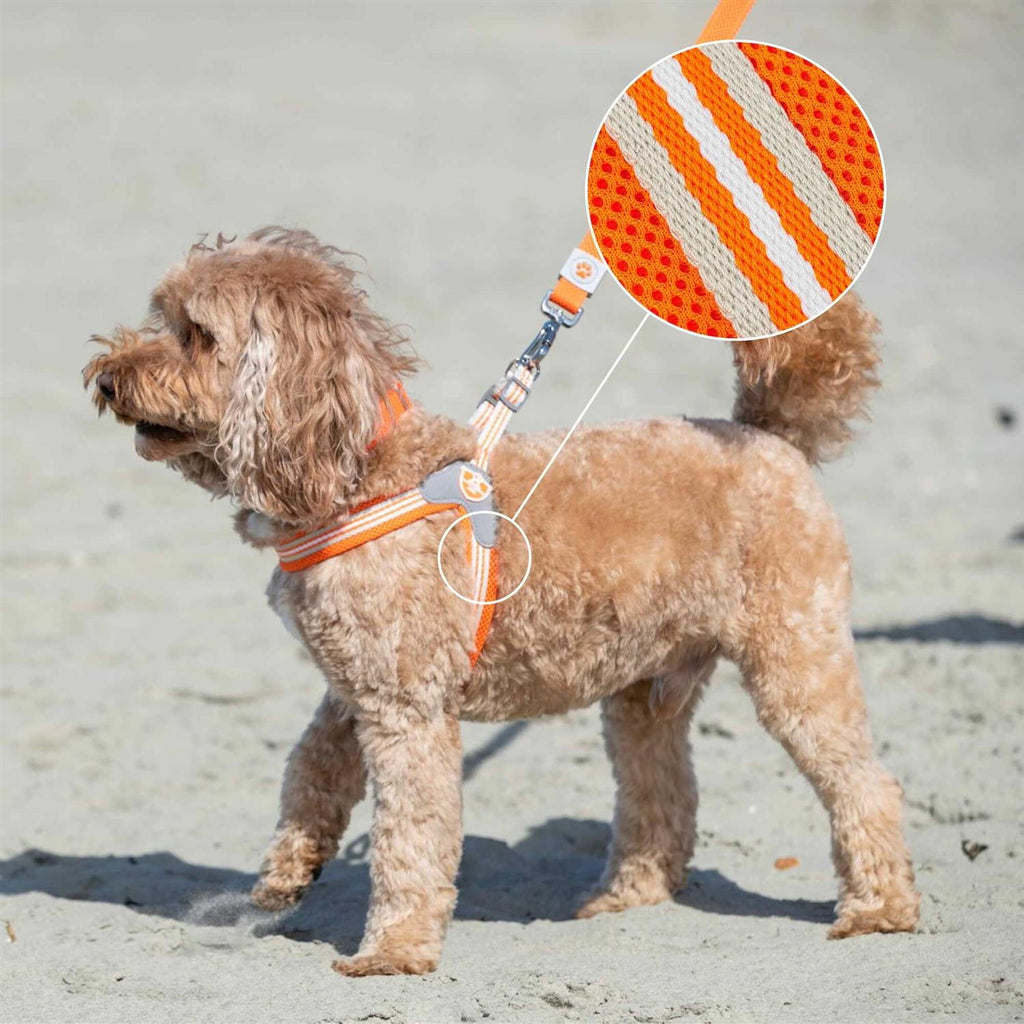 Dog Harness X98901