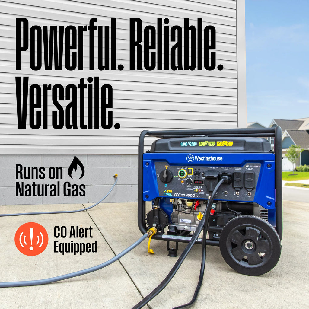 12,500 Peak Watt Dual Fuel Portable Generator L950296