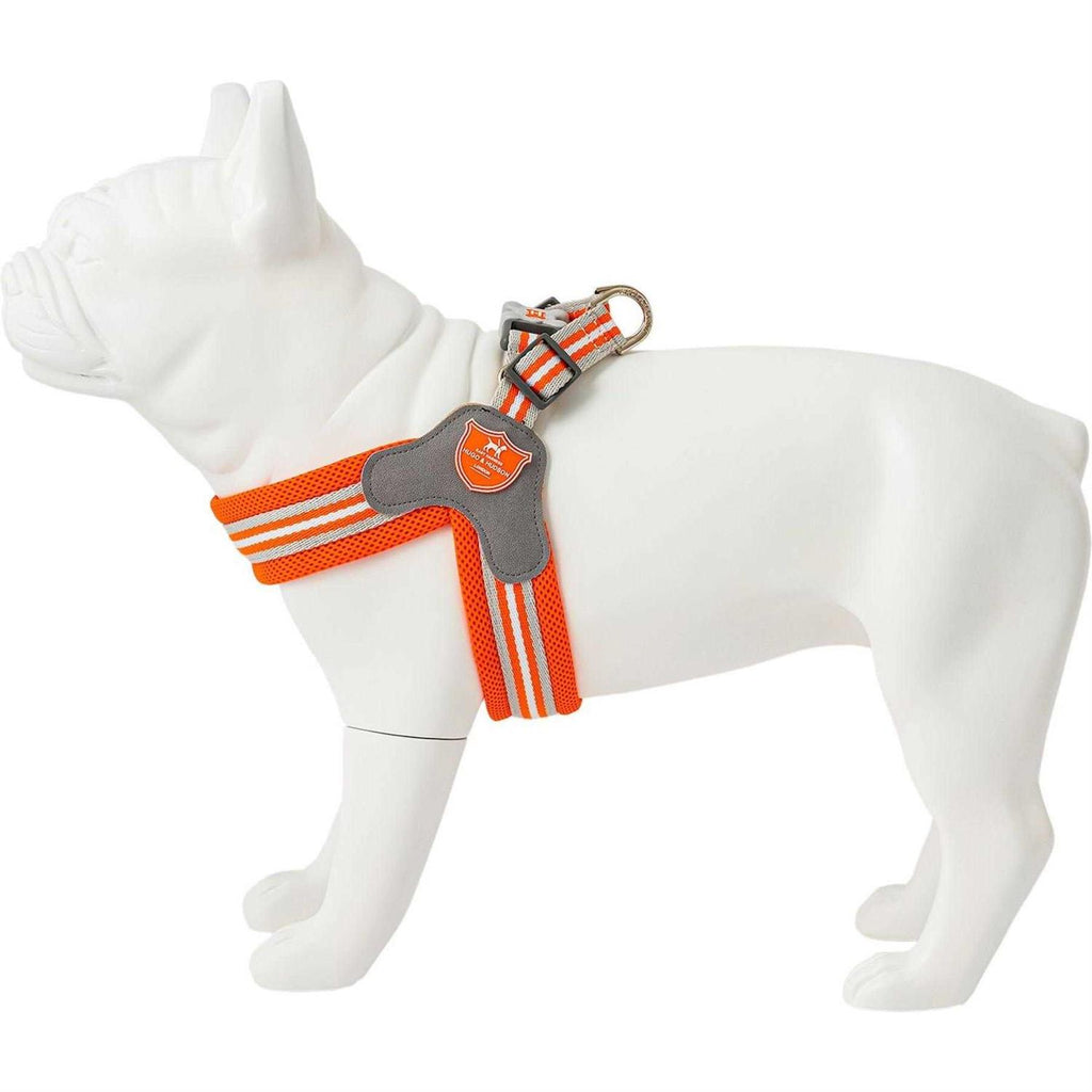 Dog Harness X98901