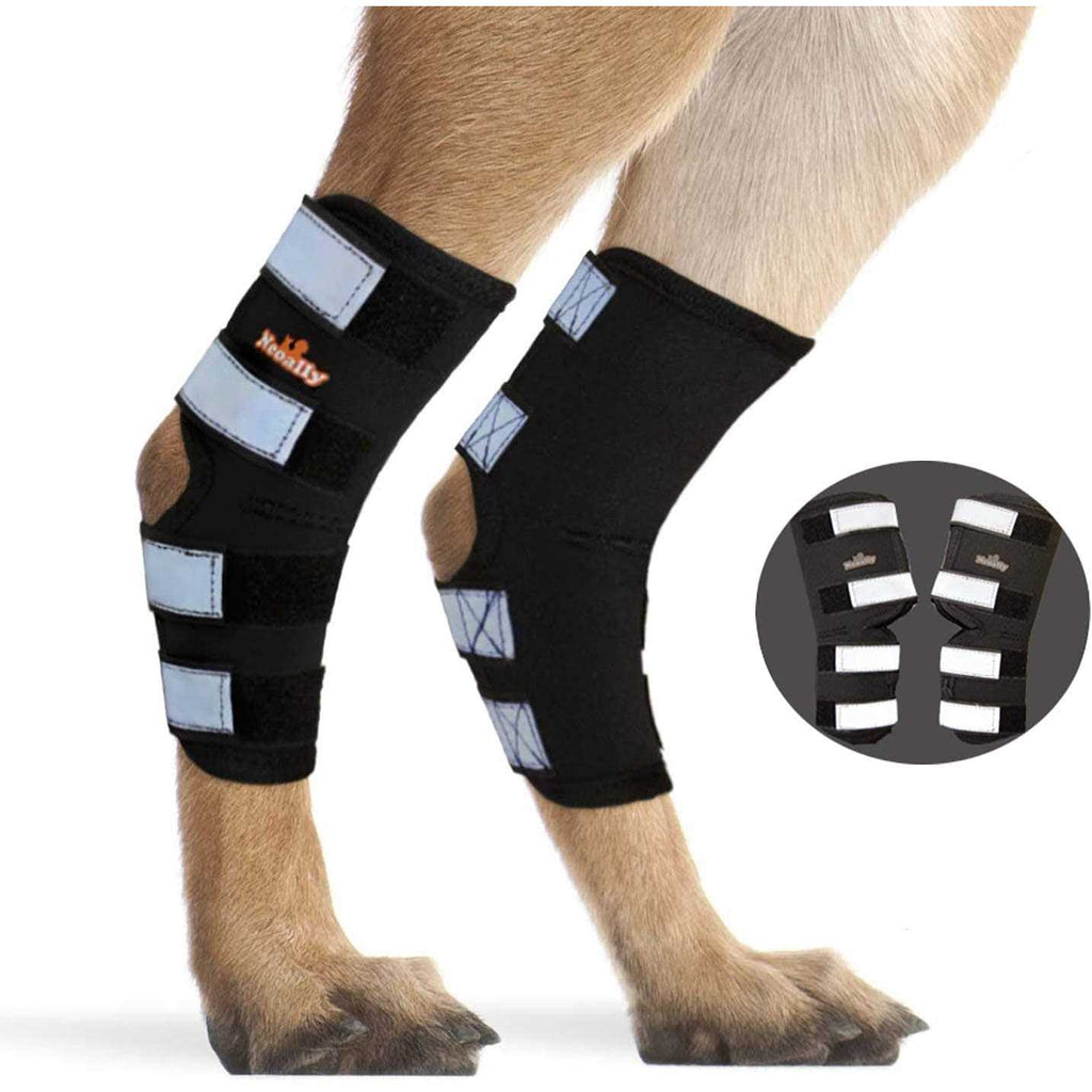 Dog Hind Leg Brace with Reflective Straps O30149