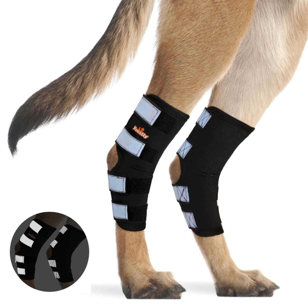 Dog Hind Leg Brace with Reflective Straps O30149