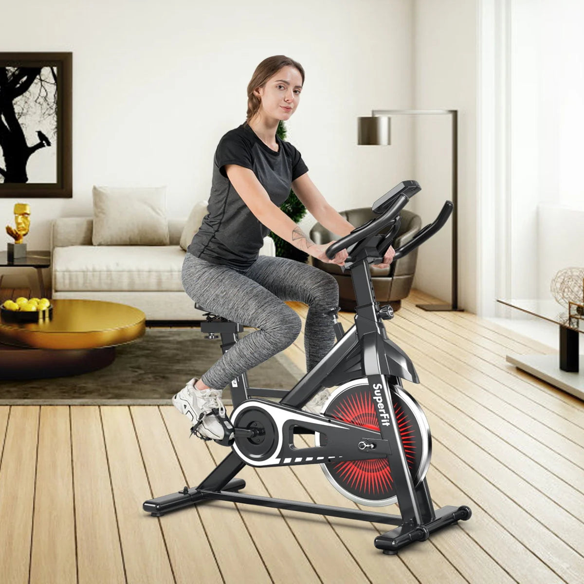 Indoor Cycling Stationary Bike K337