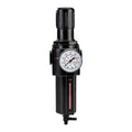 1/2 in. NPT(F) Air Filter with Regulator F8158