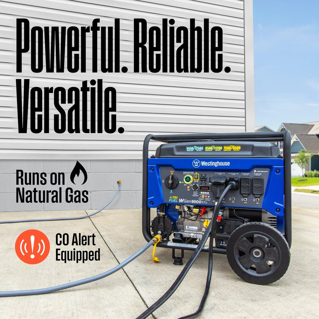 12,500 Peak Watt Dual Fuel Portable Generator L950296