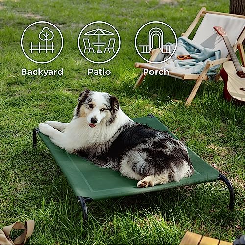 Large Elevated Dog Bed with Breathable Mesh Q529339