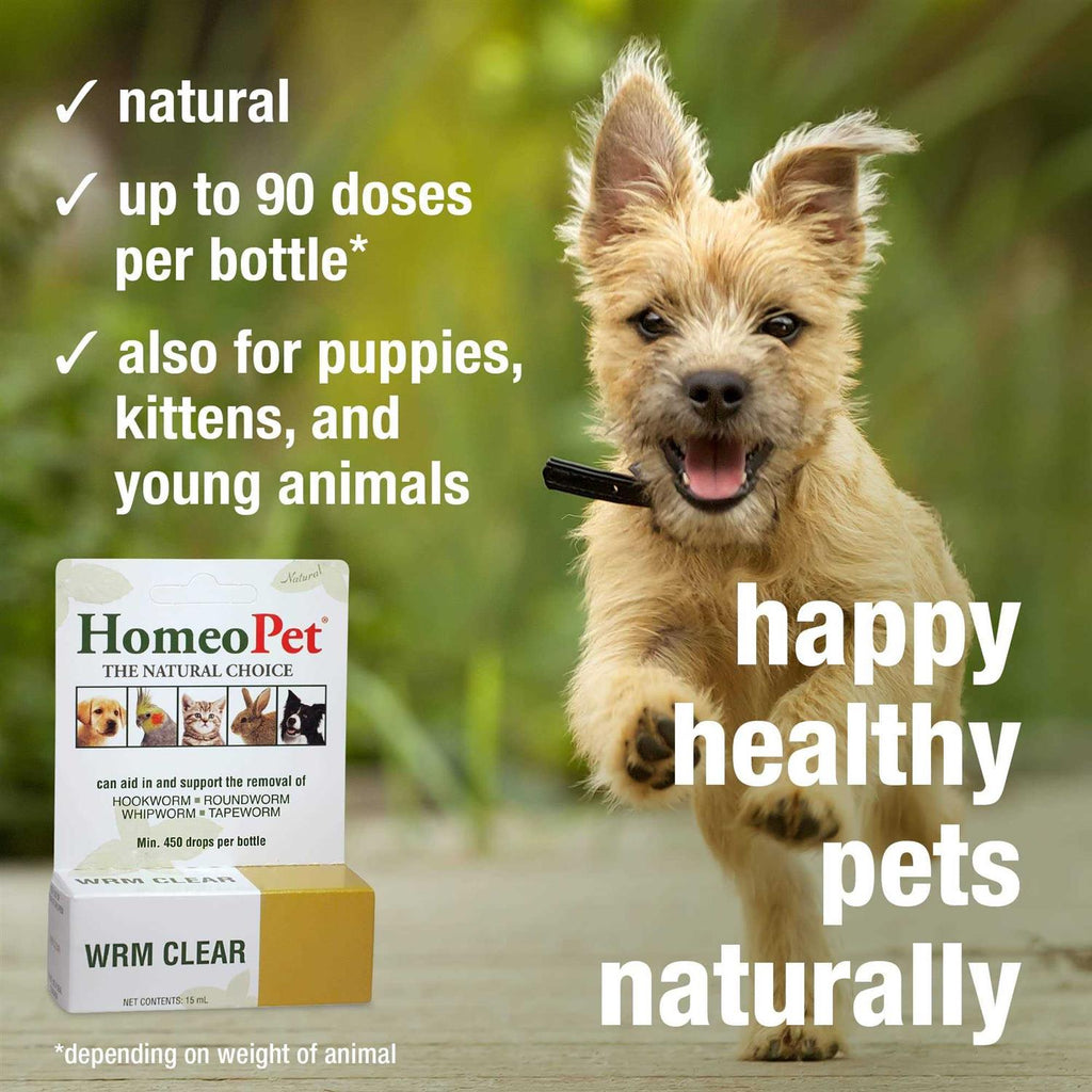 Pet Supplies Y226999