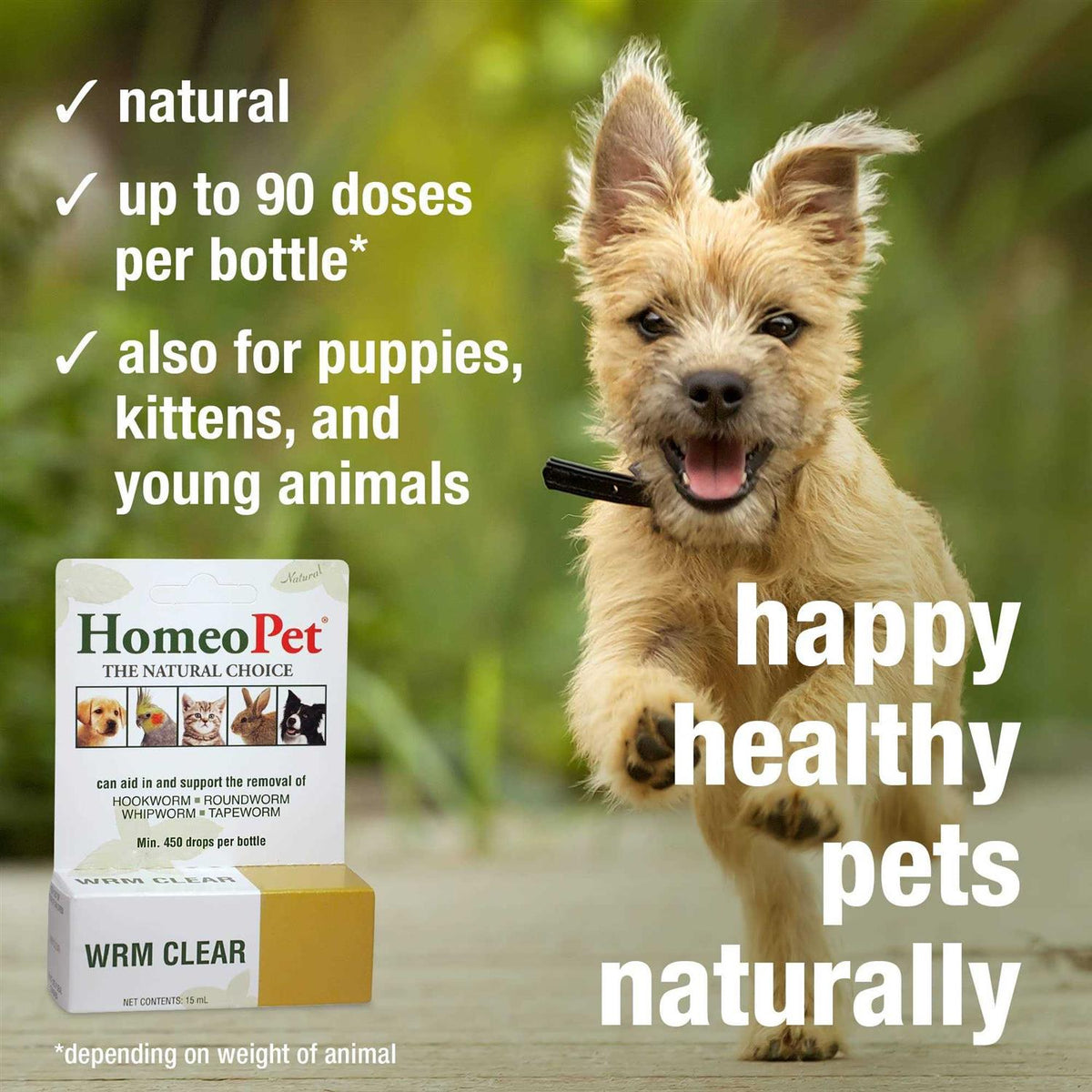 Pet Supplies Y226999