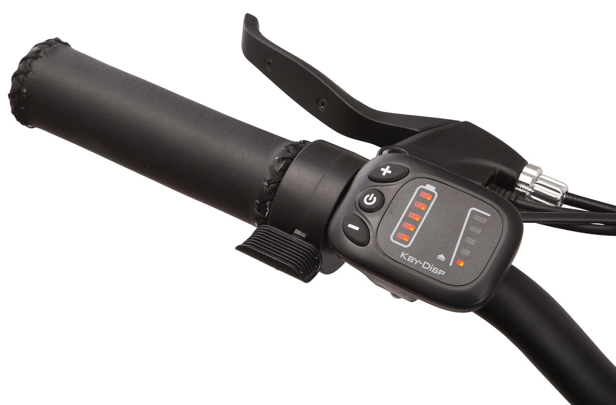 26-in. Black Cruiser Electric Bike E502