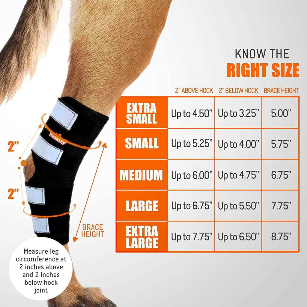 Dog Hind Leg Brace with Reflective Straps O30149