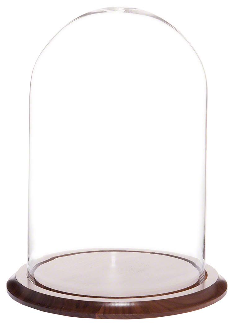 Glass Display Dome Cloche with Walnut Base S71106