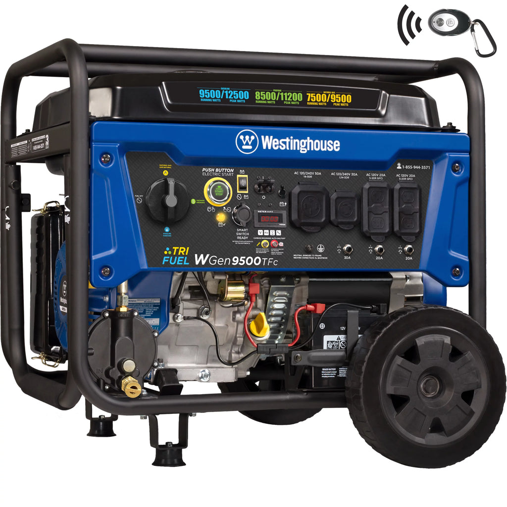 12,500 Peak Watt Dual Fuel Portable Generator L950296