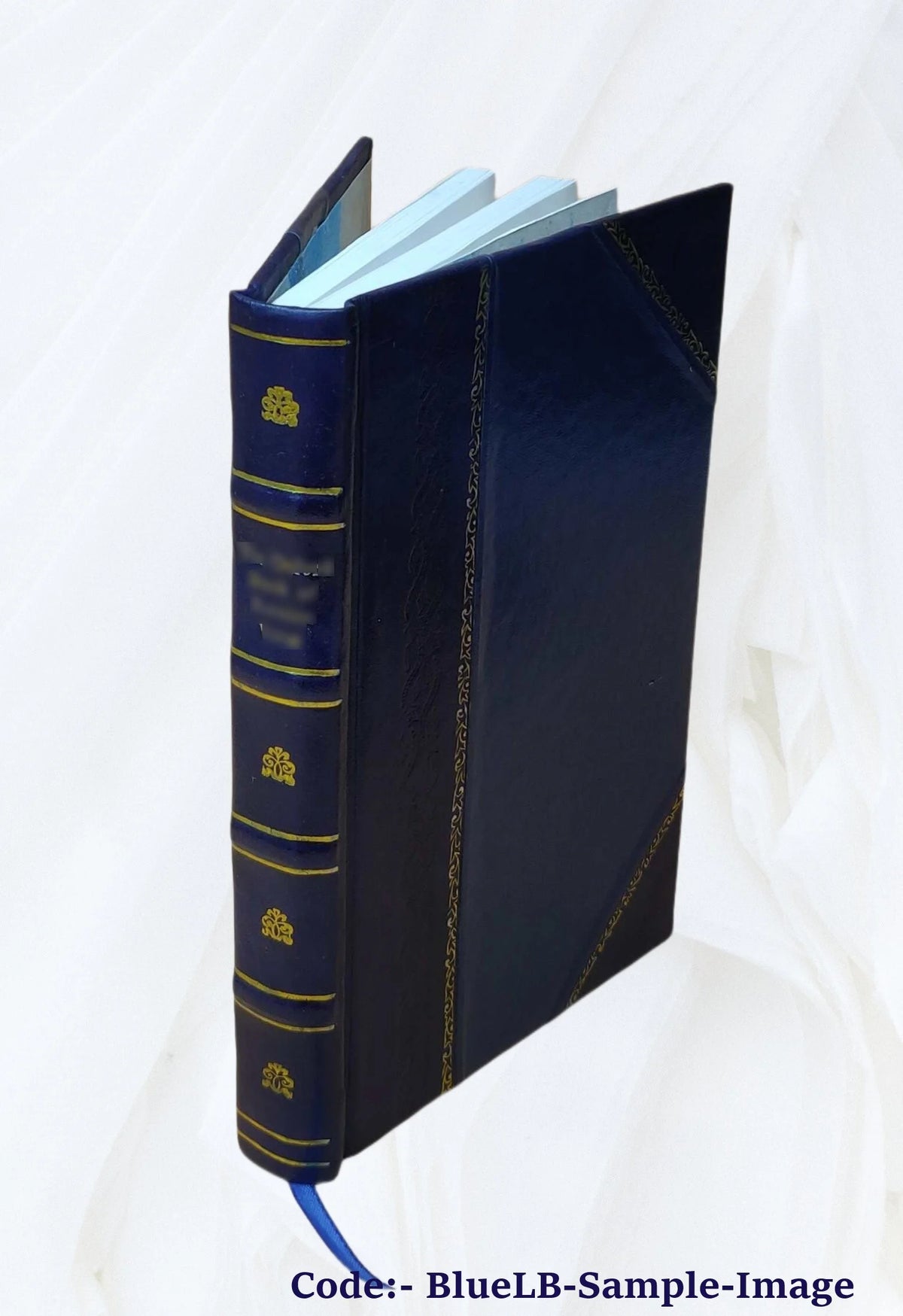 Notes of Travel, Recollections of Majunga, Zanzibar, Muscat, Aden, Mocha, and other Eastern Ports, 1854, Leather Bound J464337