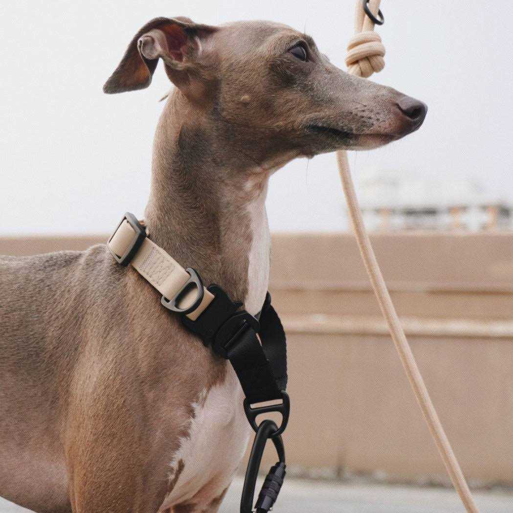 Waterproof Martingale Collar W156542
