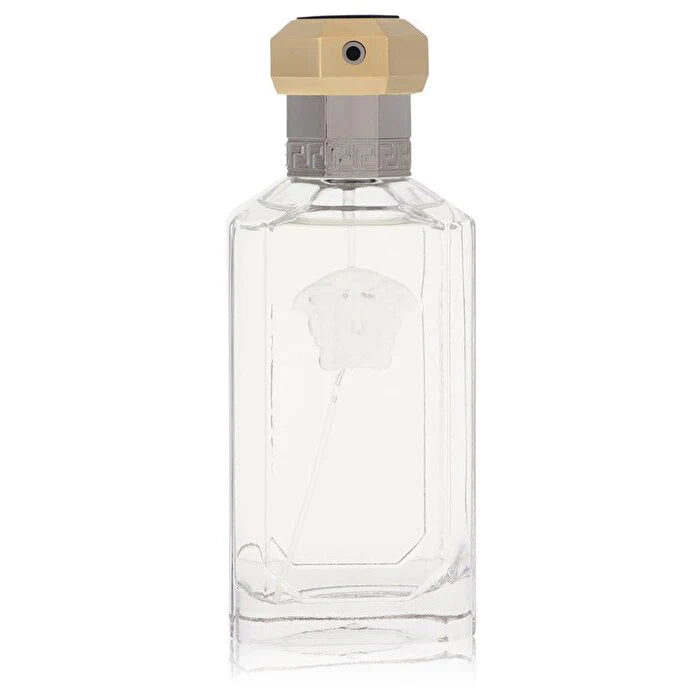 Dreamer 100ml Z272