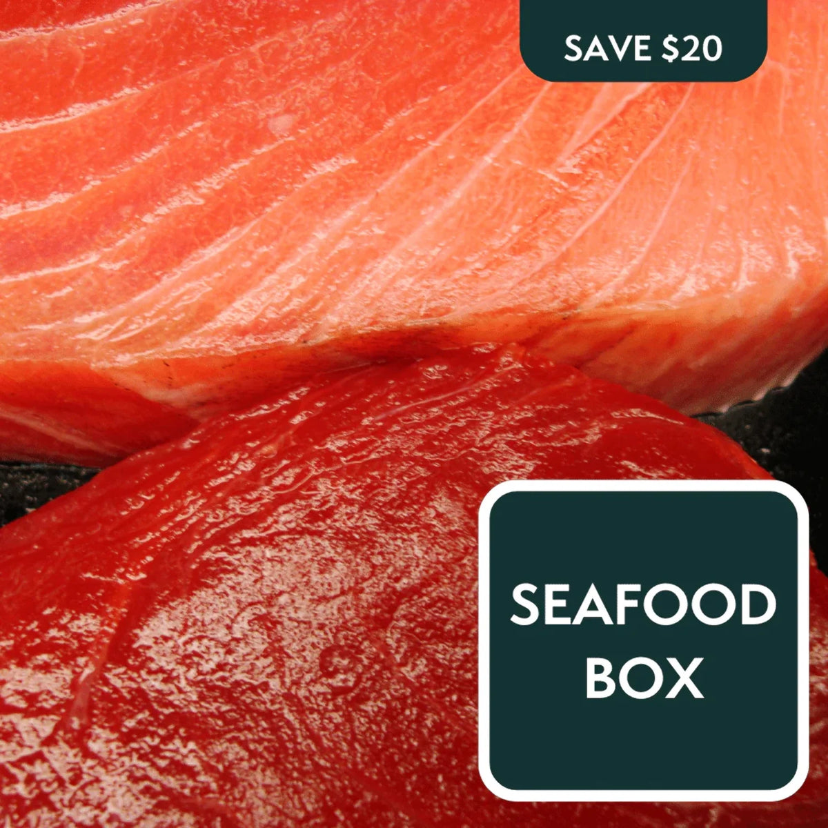 Seafood Box Z360582