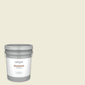 Semi-Gloss Whitewashed Oak Exterior Paint 5-Gallon F305