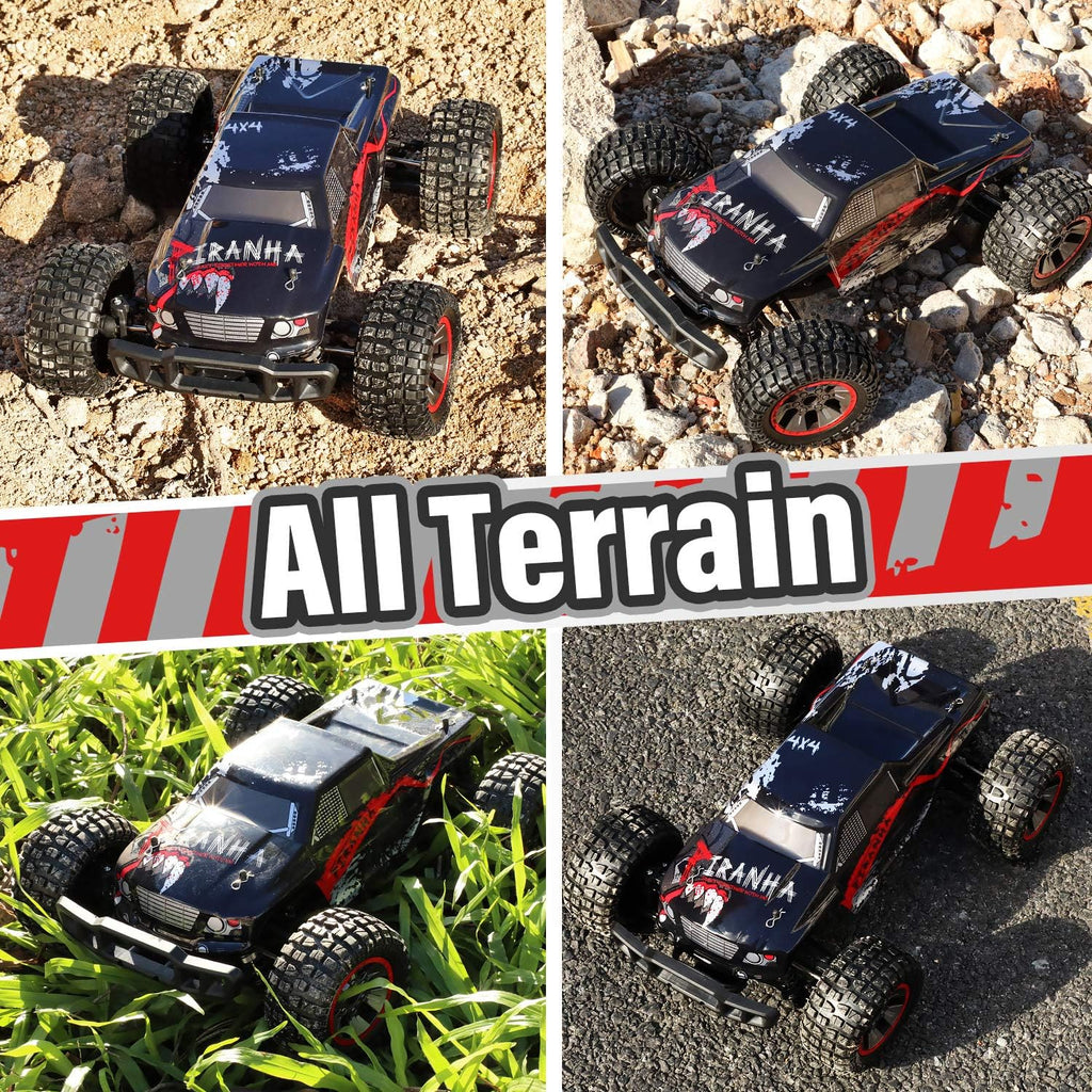 1:10 Scale 4WD Off Road RC Monster Truck with 2 Battery D650617