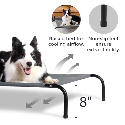 Large Elevated Dog Bed with Breathable Mesh Q529339