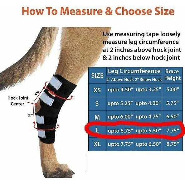 Dog Hind Leg Brace with Reflective Straps O30149