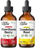 Hawthorn Berry Tincture 4 fl oz & Dandelion Root Tincture 4 fl oz H579