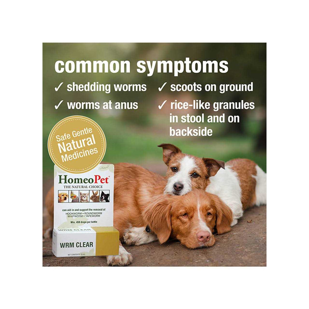 Pet Supplies Y226999