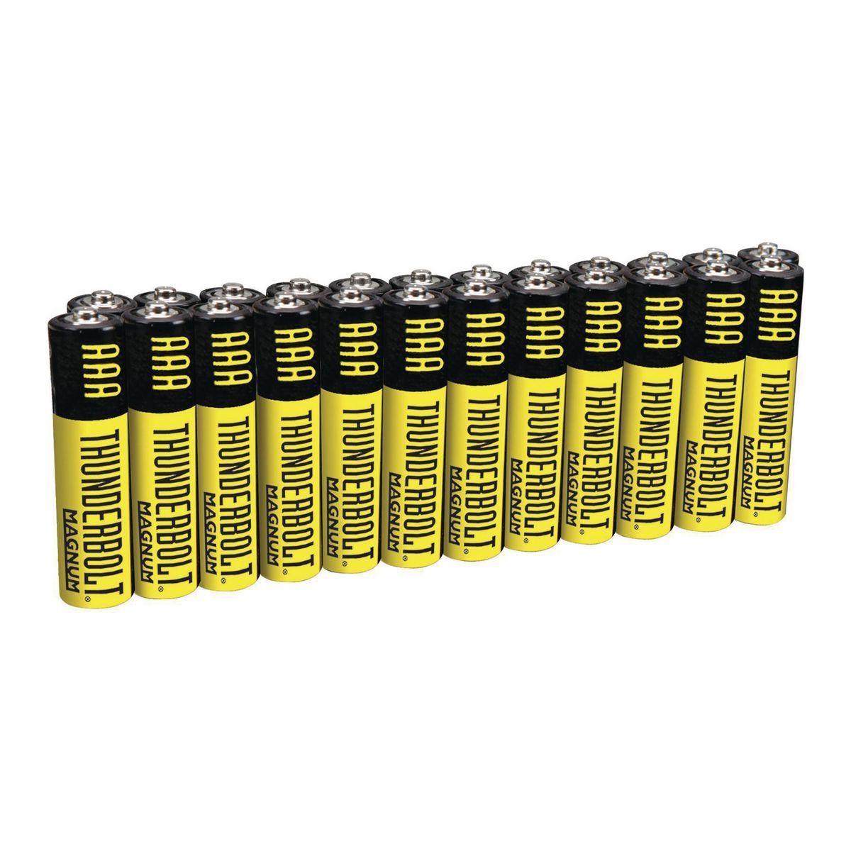 Zinc Chloride Batteries 24 Pack V6729