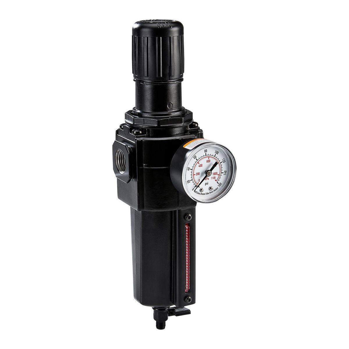 1/2 in. NPT(F) Air Filter with Regulator F8158