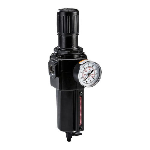 1/2 in. NPT(F) Air Filter with Regulator F8158