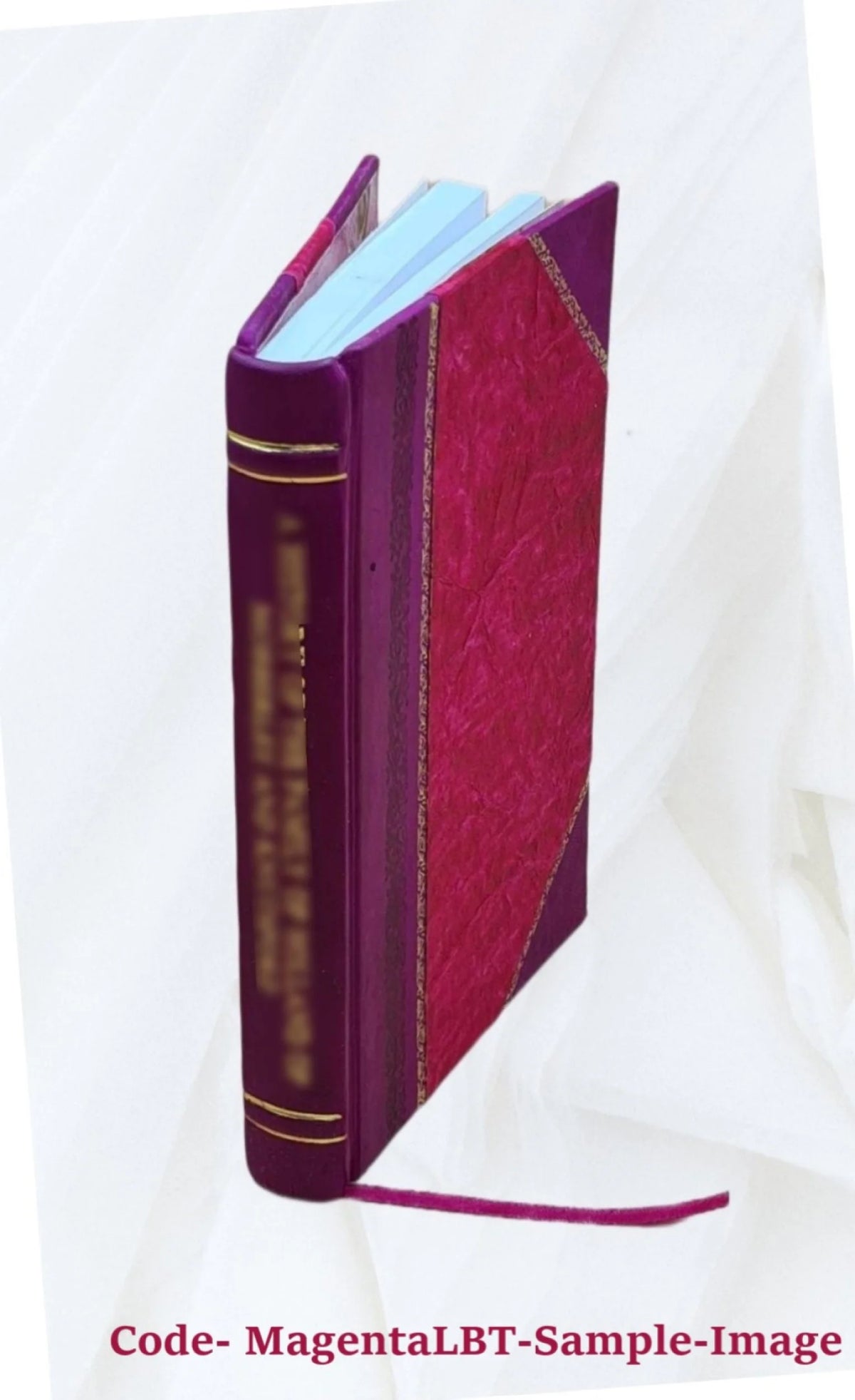 1888 Leather Bound R44329