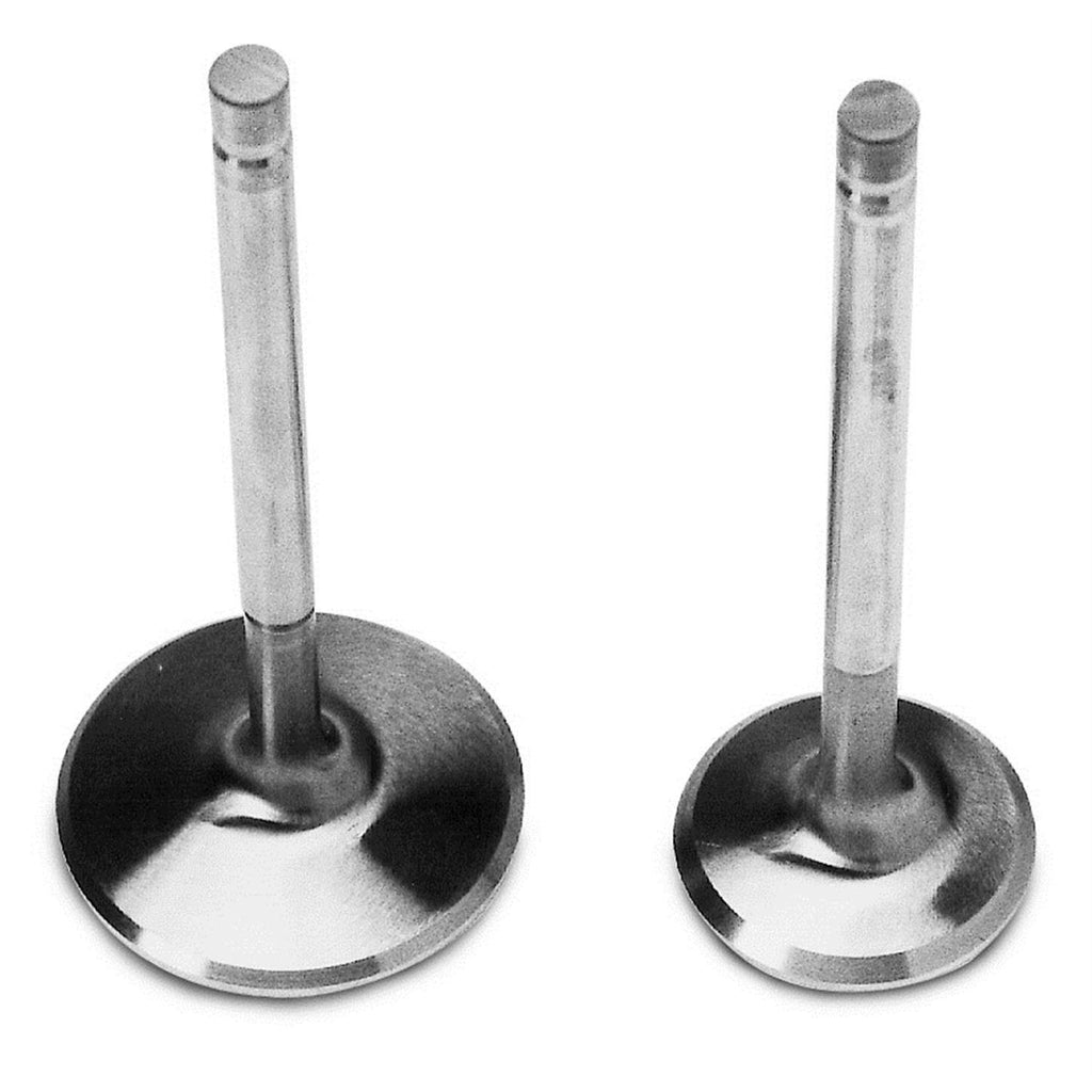 Intake Valves X46920