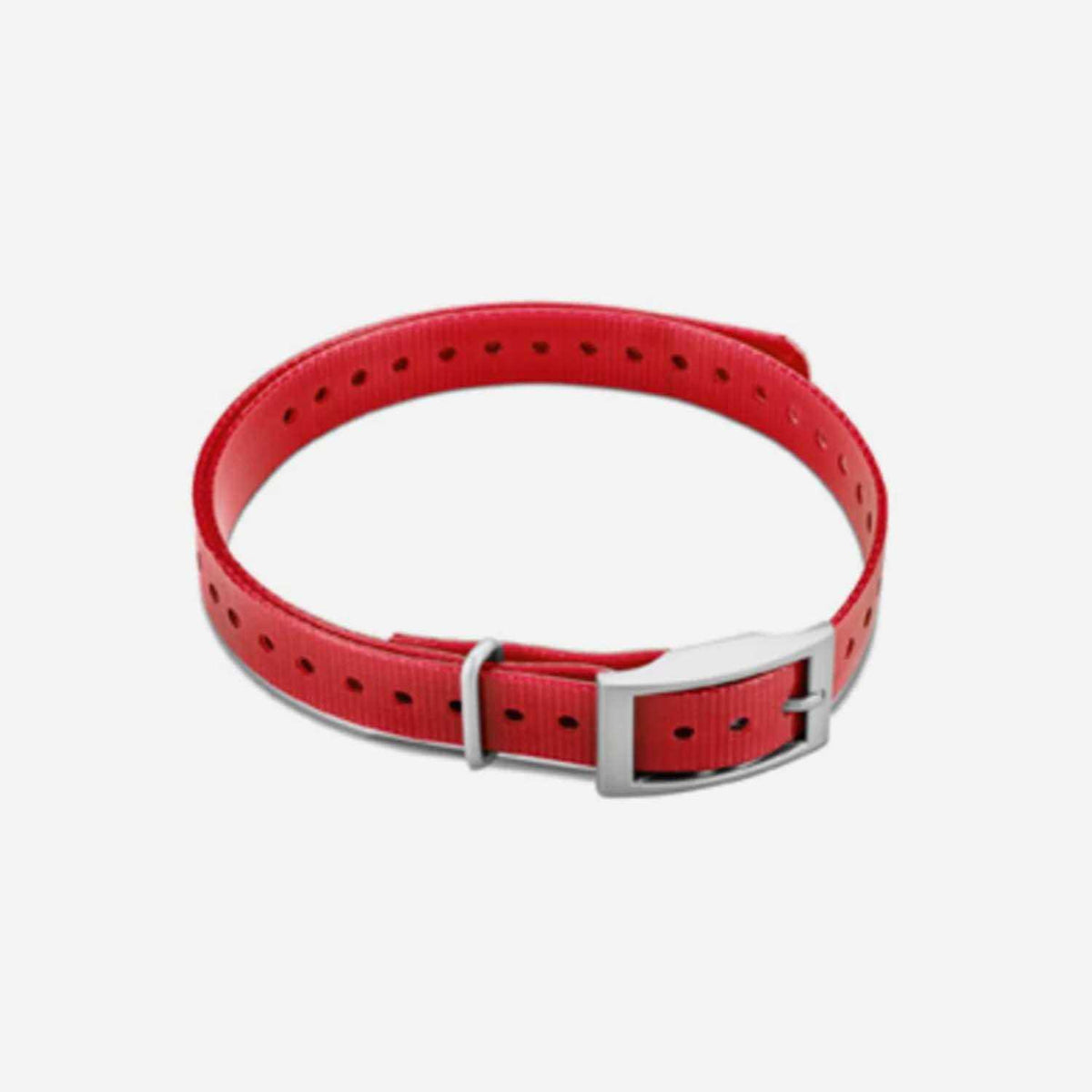 Collar Strap F7205