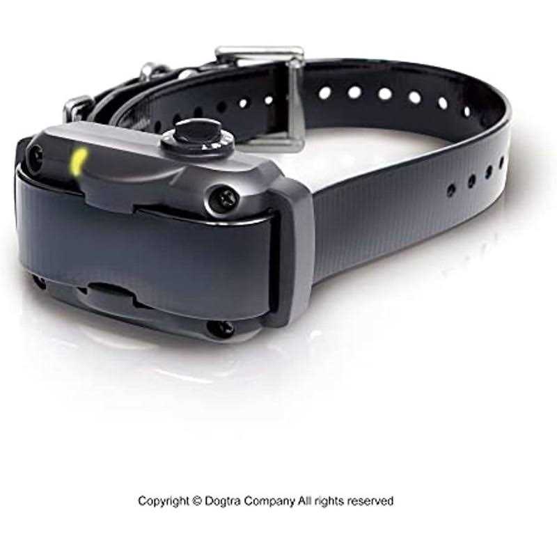 No Bark Collar V4099