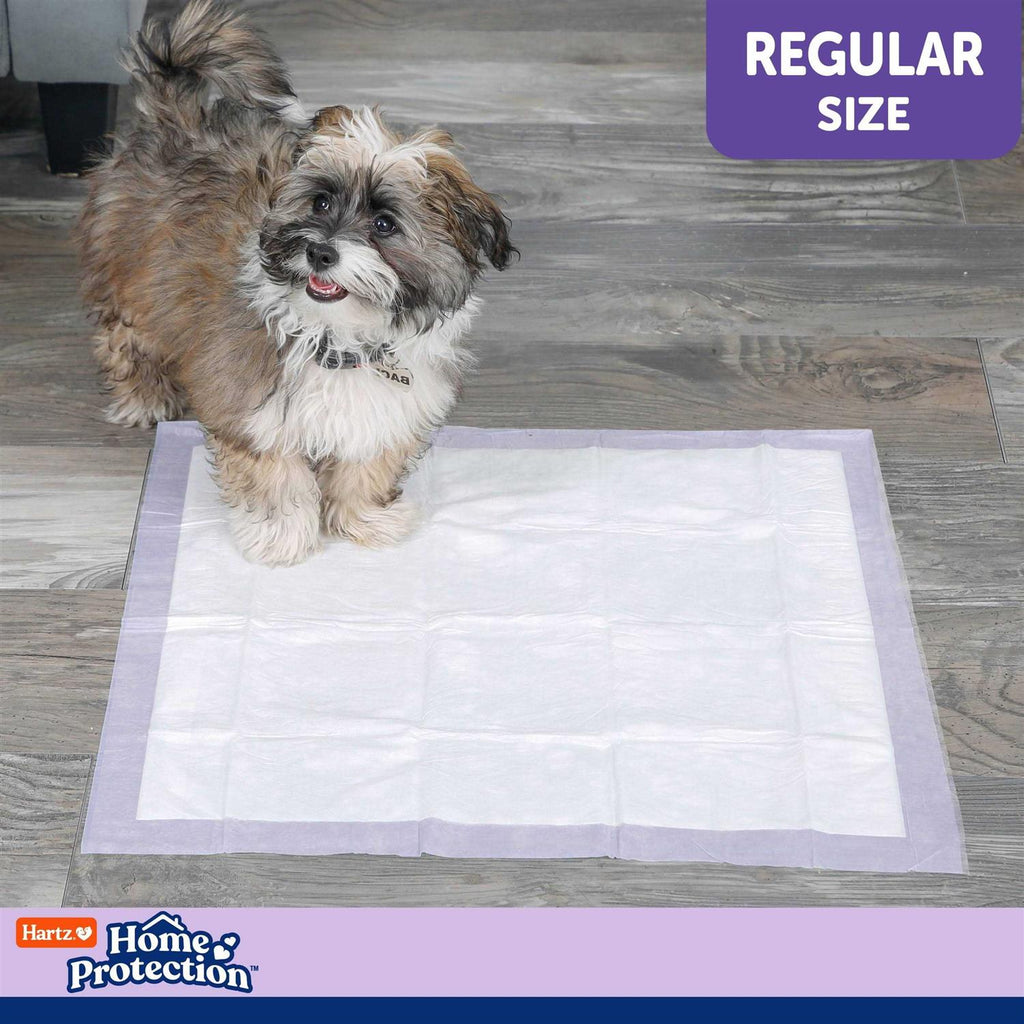 Lavender Scent Odor Eliminating Dog Pads A41113