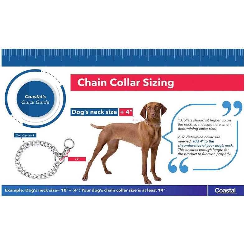 Steel Chain Dog Collar E189739