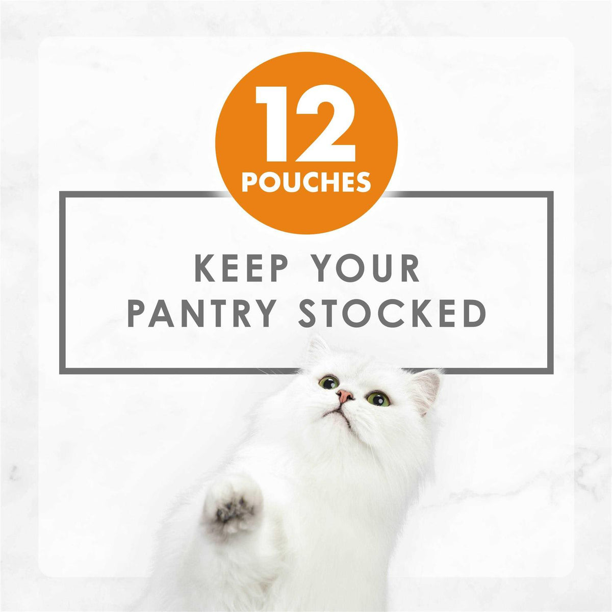Chicken Wet Cat Food Variety Pack F129337