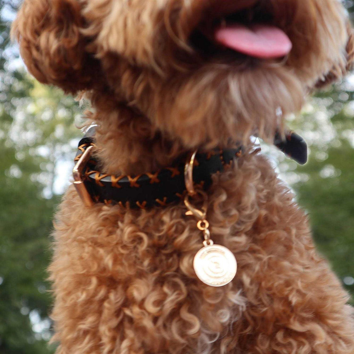 Handcrafted Standard Dog Collar M891141