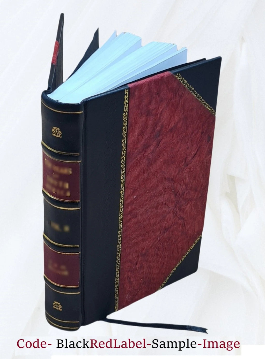 Notes of Travel, Recollections of Majunga, Zanzibar, Muscat, Aden, Mocha, and other Eastern Ports, 1854, Leather Bound J464337