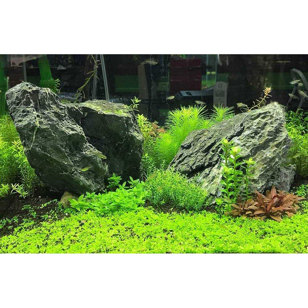 Acid Buffer P467060